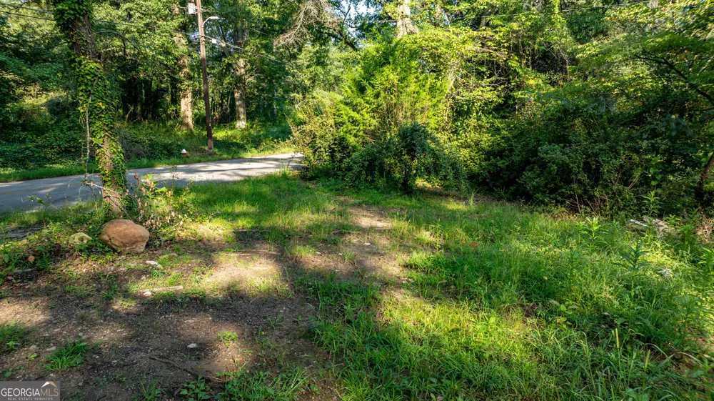62 & 80 Turin RD Senoia, GA 30276
