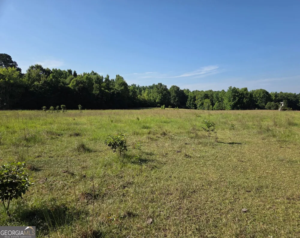 0 Rocky Branch Church RD Norwood, GA 30821