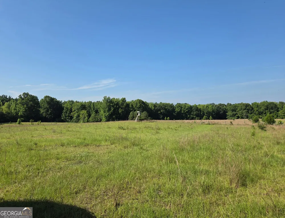 0 Rocky Branch Church RD Norwood, GA 30821