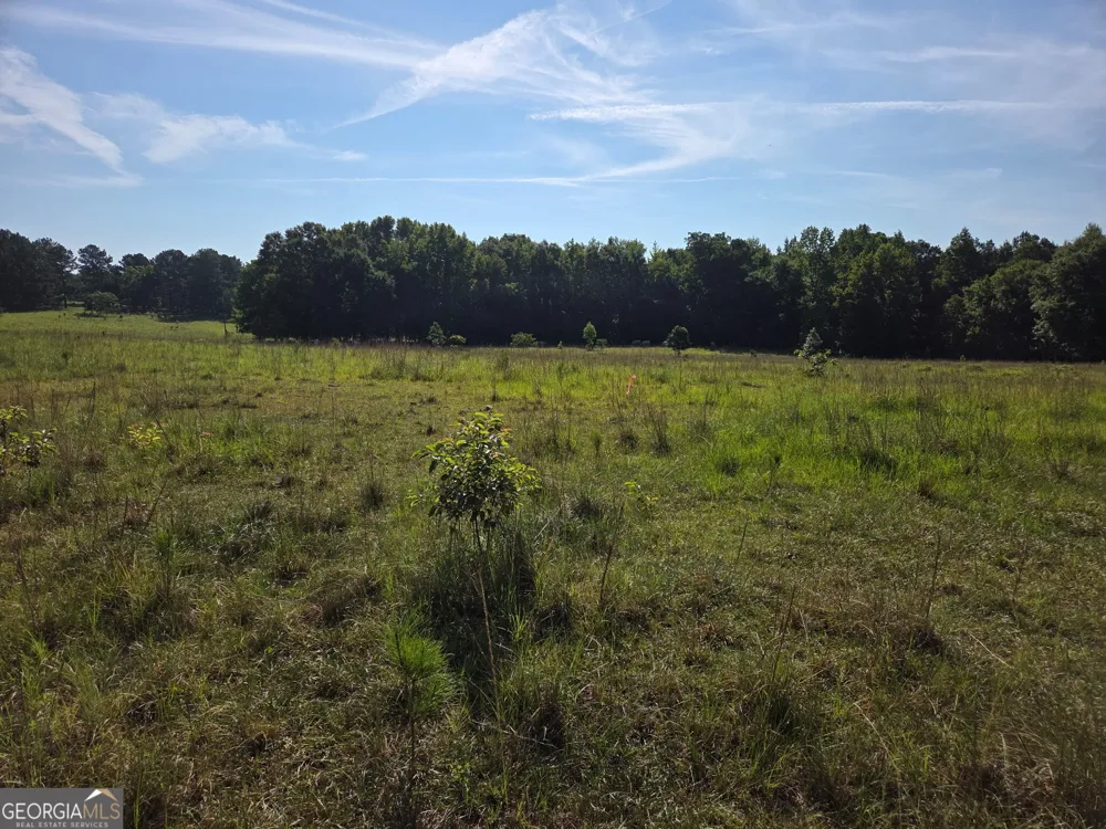 0 Rocky Branch Church RD Norwood, GA 30821