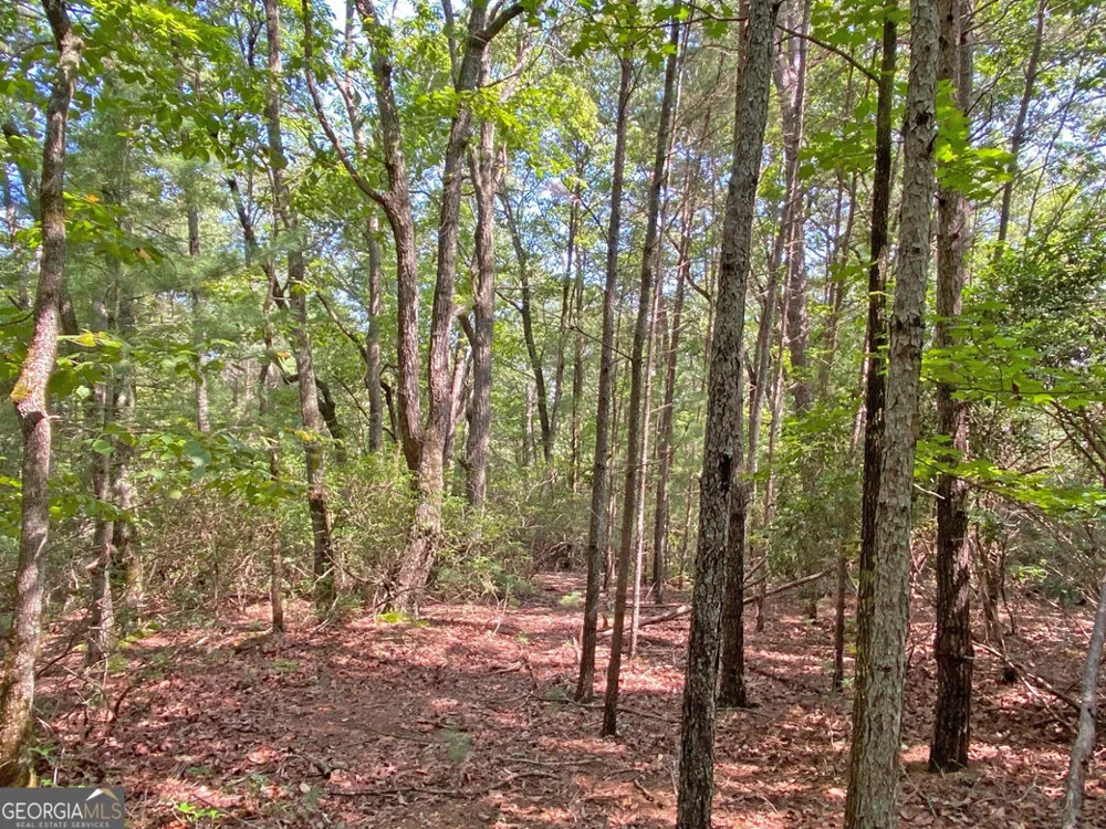 10.59AC T S Jarrard RD Dahlonega, GA 30533