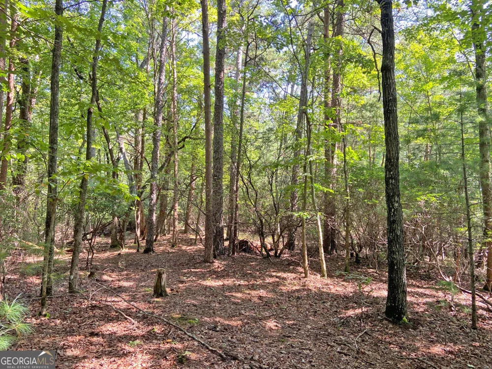 10.59AC T S Jarrard RD Dahlonega, GA 30533