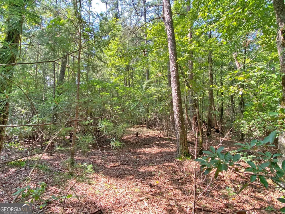 10.59AC T S Jarrard RD Dahlonega, GA 30533