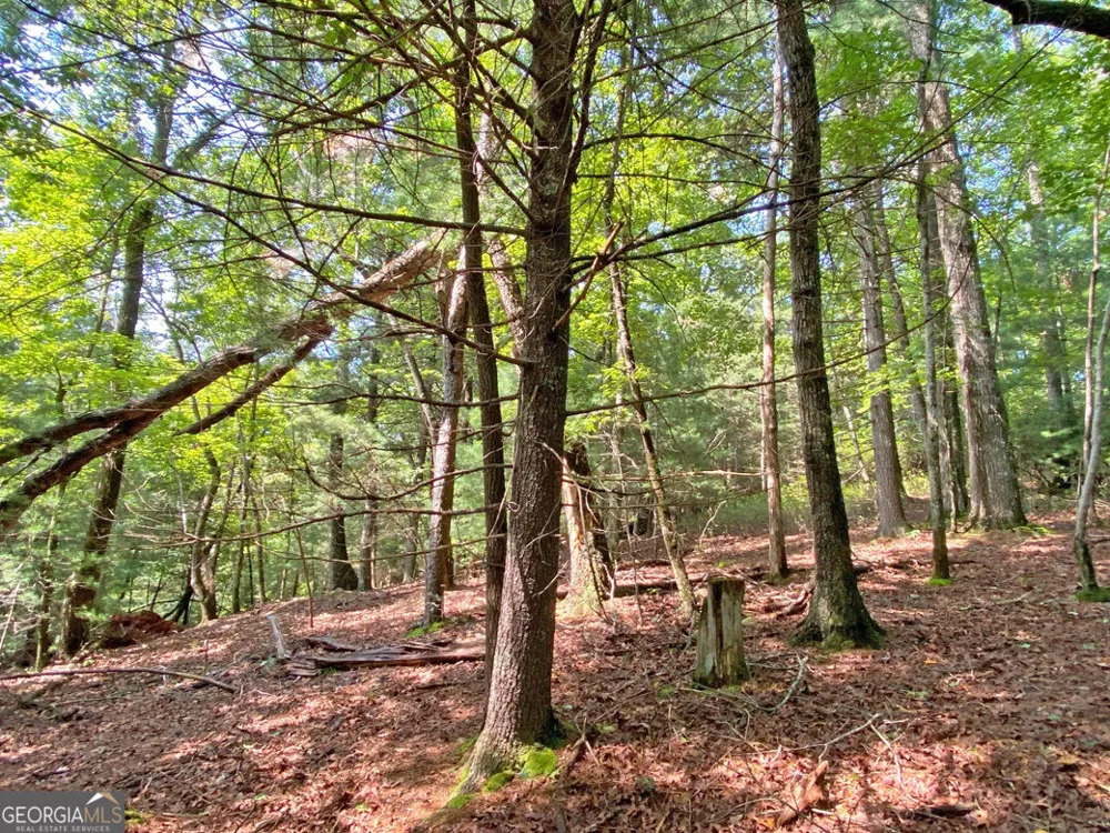 10.59AC T S Jarrard RD Dahlonega, GA 30533