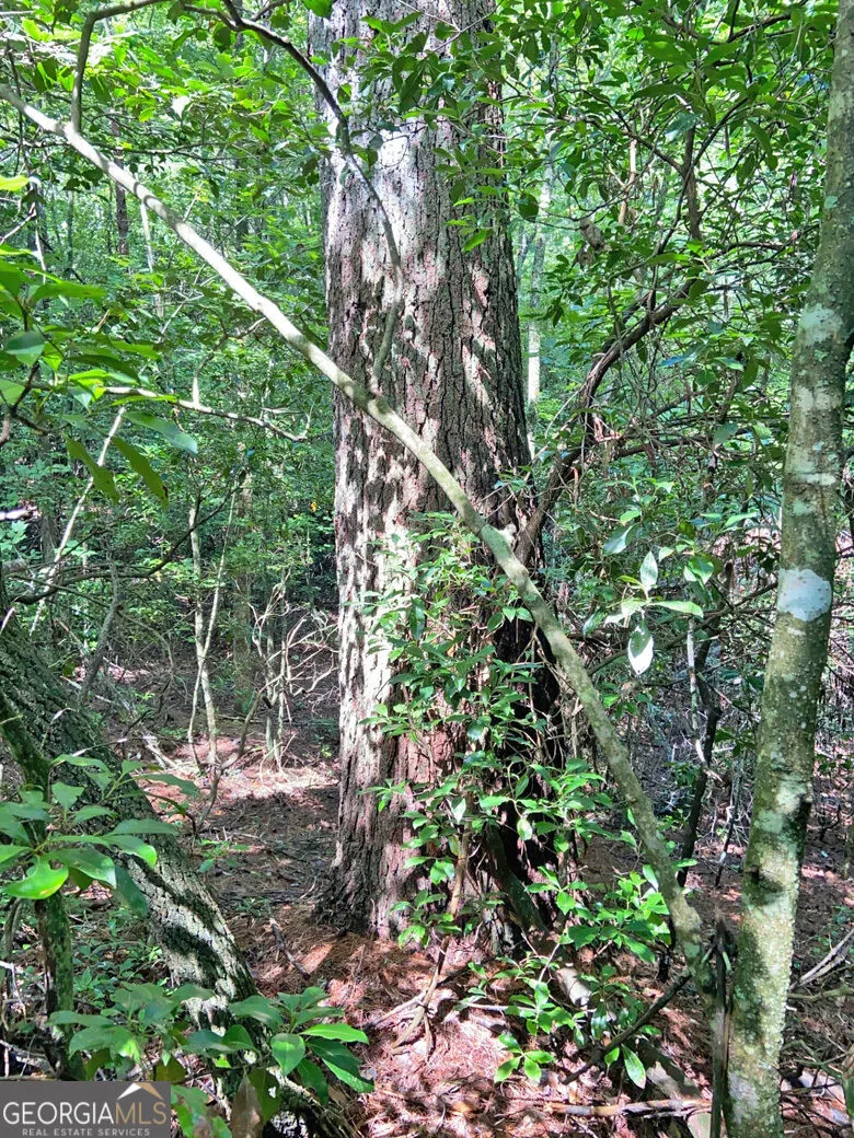 10.59AC T S Jarrard RD Dahlonega, GA 30533
