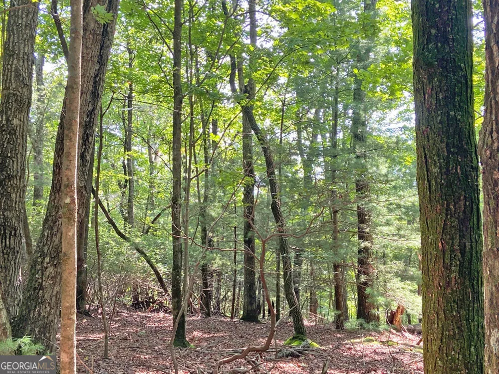 10.59AC T S Jarrard RD Dahlonega, GA 30533