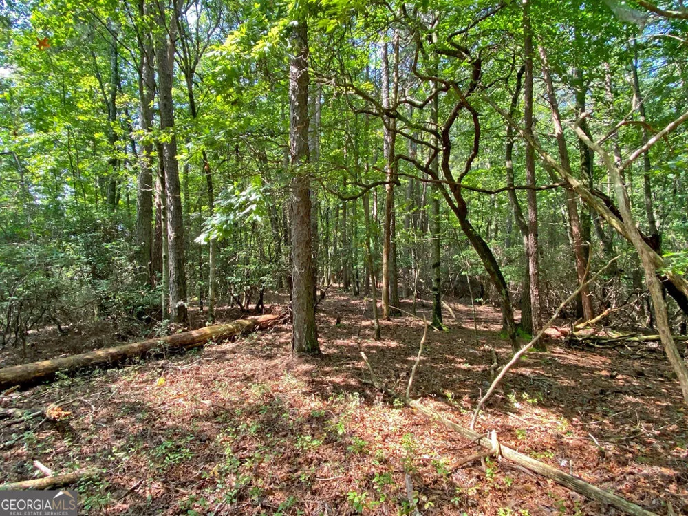 10.59AC T S Jarrard RD Dahlonega, GA 30533