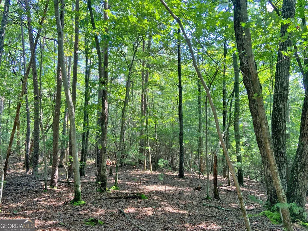 10.59AC T S Jarrard RD Dahlonega, GA 30533