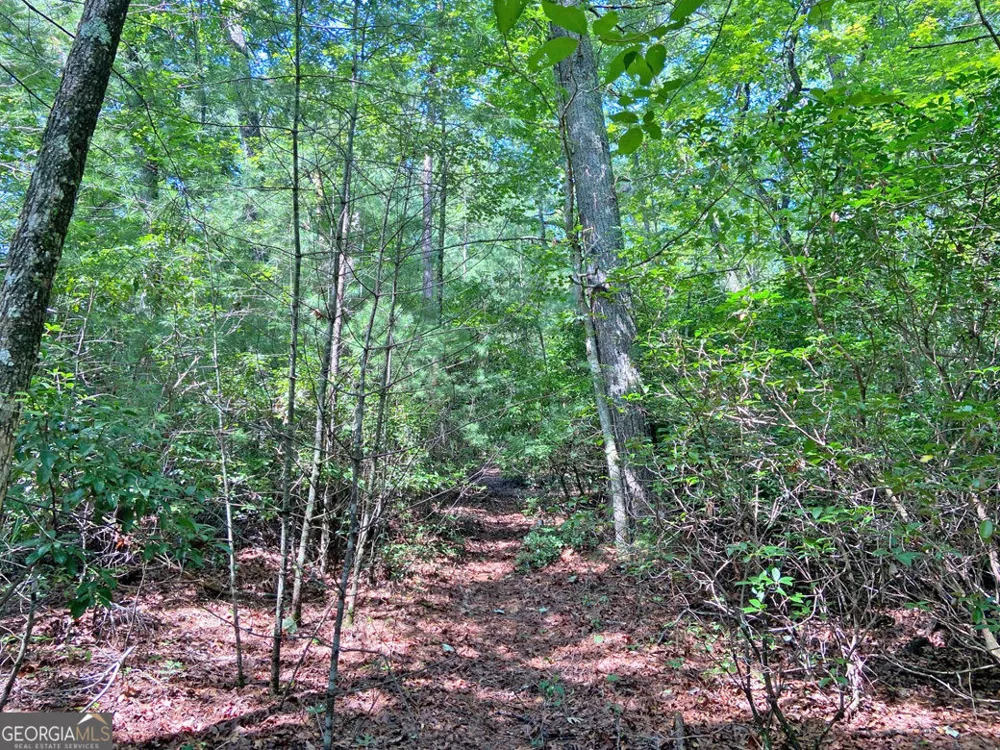 10.59AC T S Jarrard RD Dahlonega, GA 30533