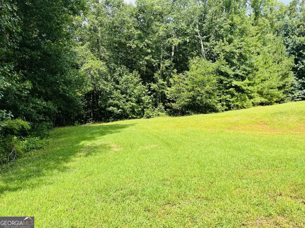 185 Hidden Brook TRL Newnan, GA 30265