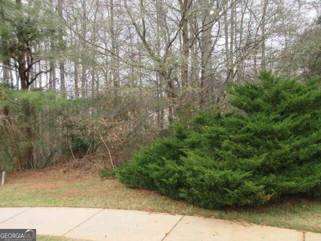 710 Donner CT McDonough, GA 30252