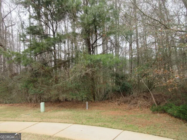 710 Donner CT McDonough, GA 30252