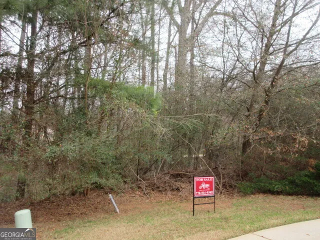 710 Donner CT McDonough, GA 30252