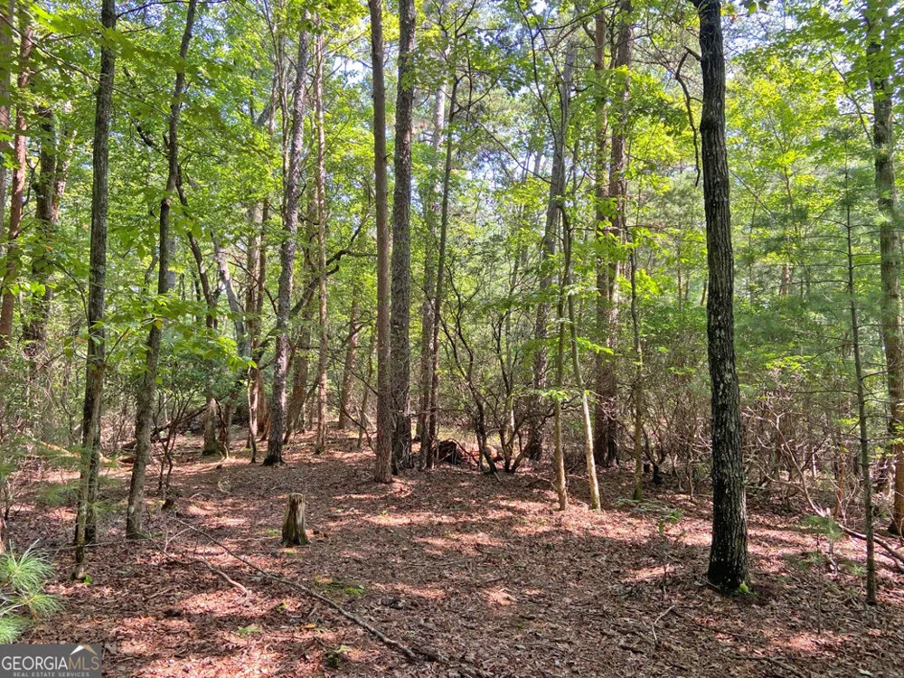11AC T S Jarrard RD Dahlonega, GA 30533
