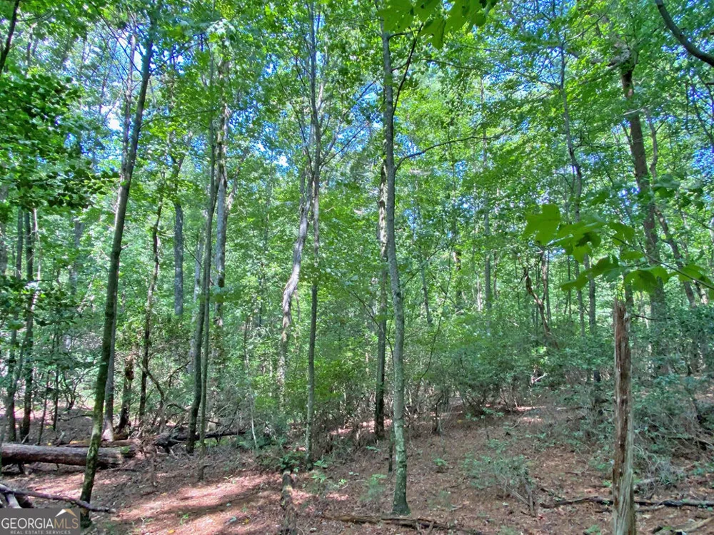 11AC T S Jarrard RD Dahlonega, GA 30533