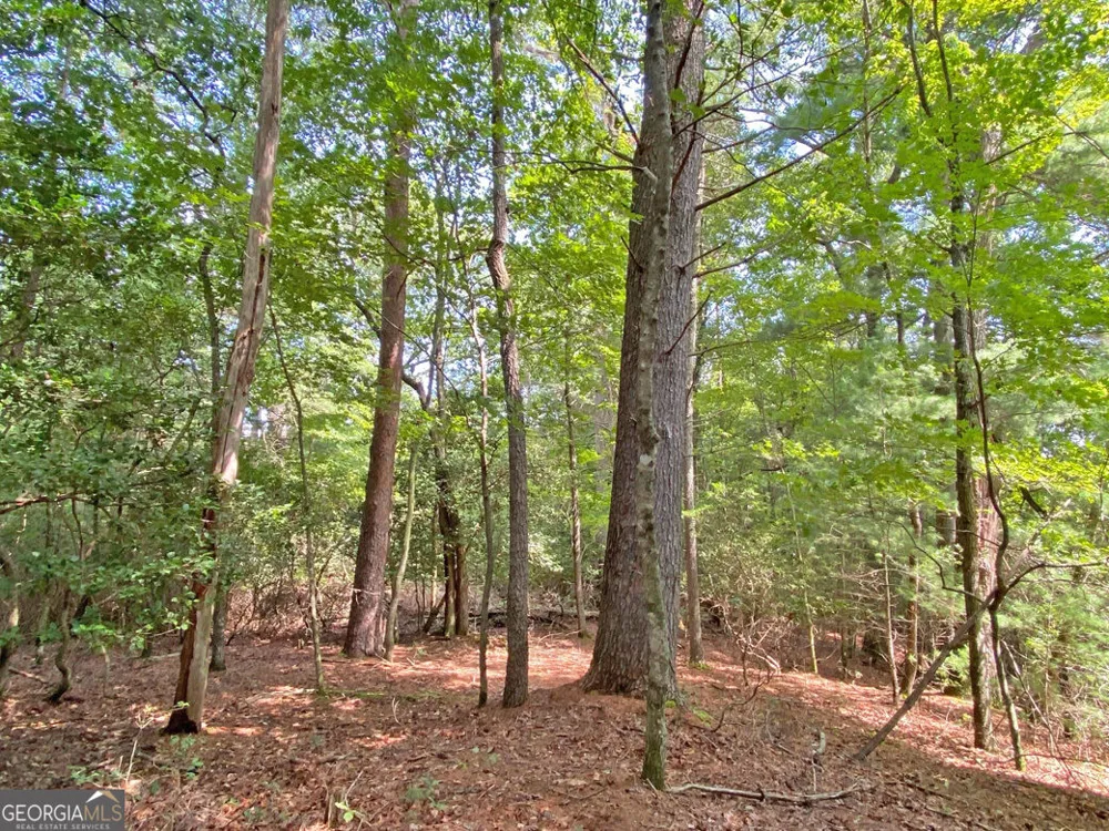 11AC T S Jarrard RD Dahlonega, GA 30533