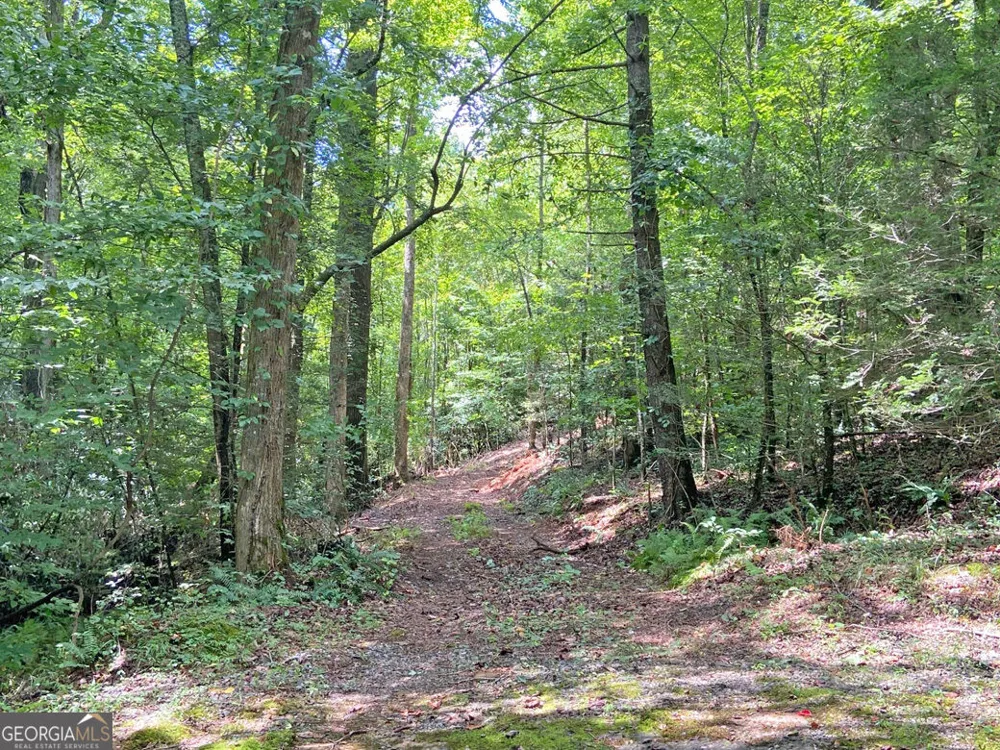 11AC T S Jarrard RD Dahlonega, GA 30533
