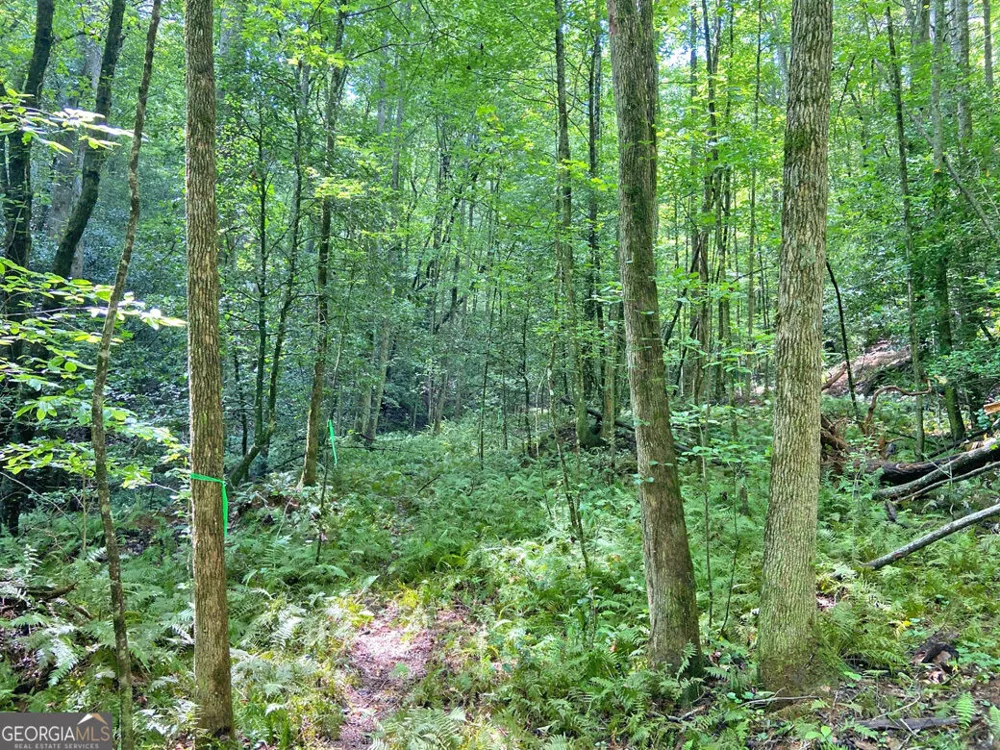 11AC T S Jarrard RD Dahlonega, GA 30533