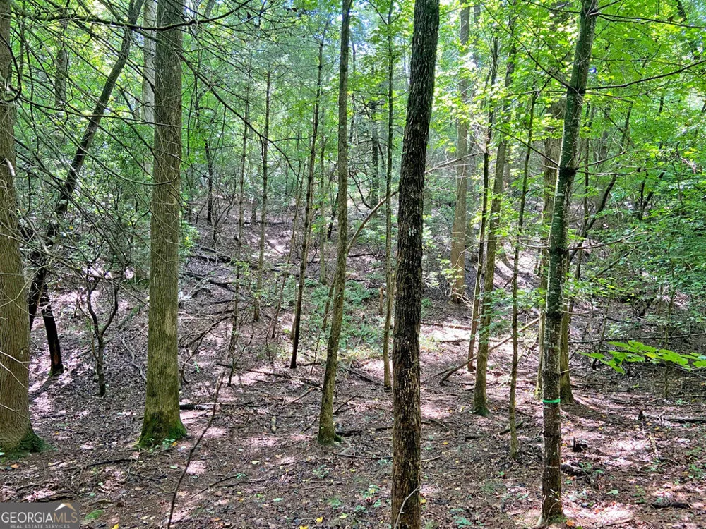 11AC T S Jarrard RD Dahlonega, GA 30533