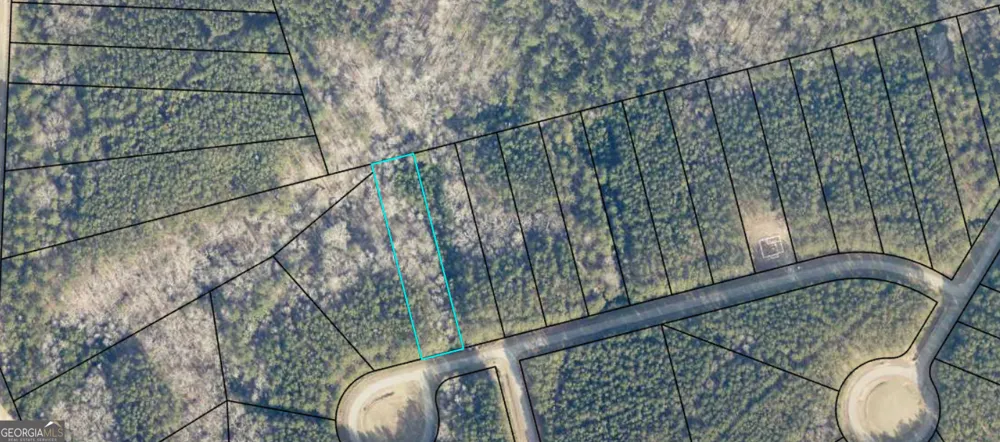 1117 Watersedge CV Tignall, GA 30668