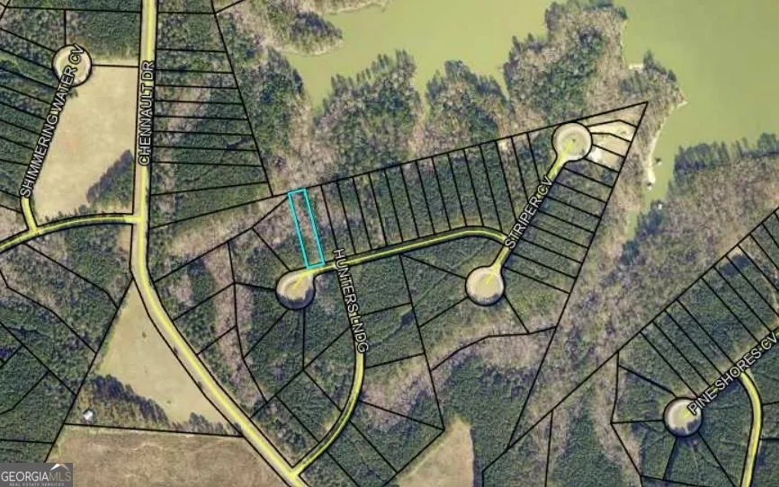 1135 Watersedge CV Tignall, GA 30668