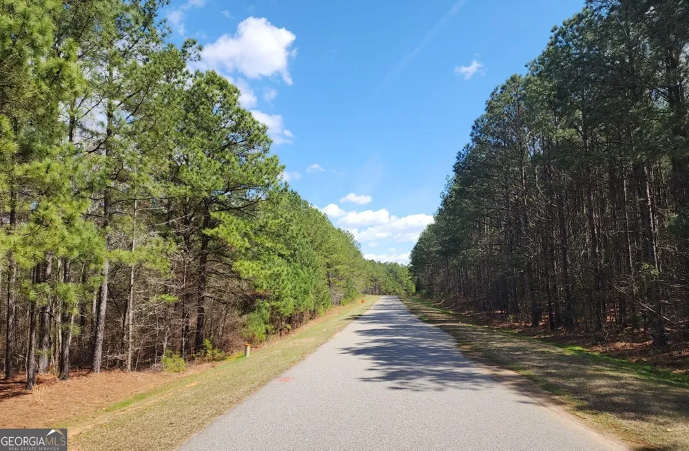 1135 Watersedge CV Tignall, GA 30668