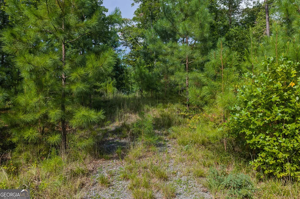 LOT 159R Harris Creek DR Ellijay, GA 30540