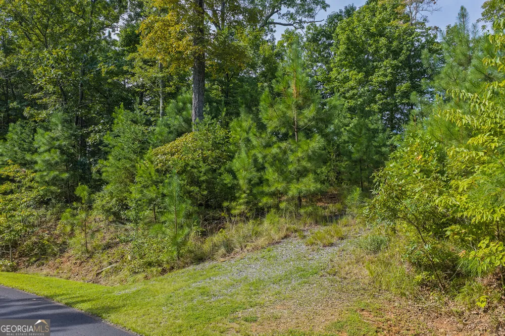 LOT 159R Harris Creek DR Ellijay, GA 30540