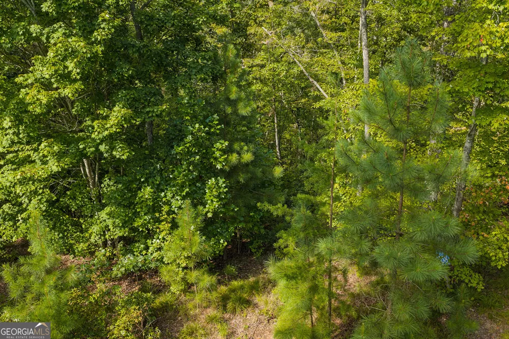 LOT 159R Harris Creek DR Ellijay, GA 30540