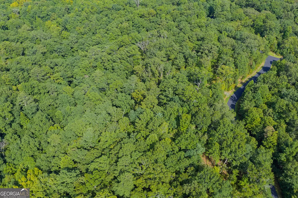 LOT 159R Harris Creek DR Ellijay, GA 30540