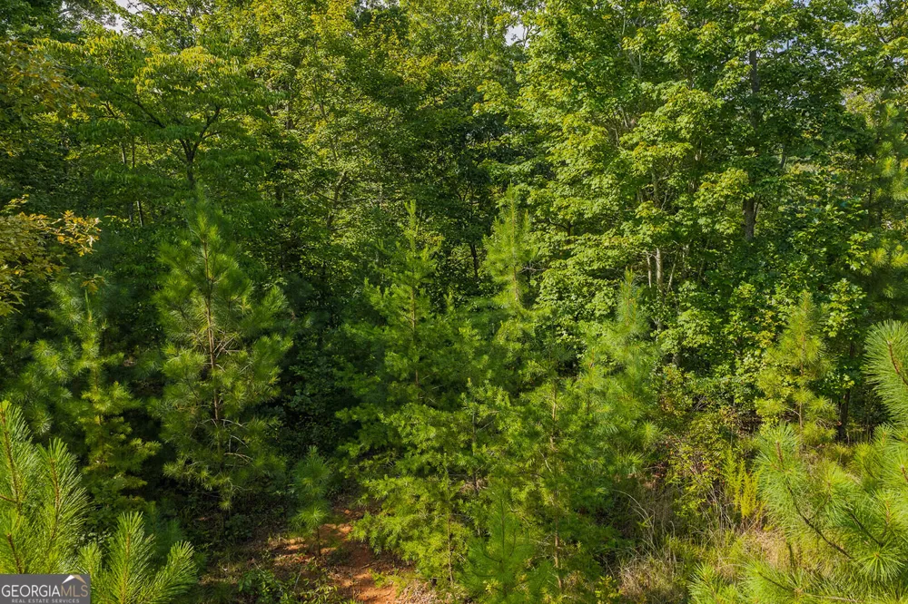 LOT 159R Harris Creek DR Ellijay, GA 30540
