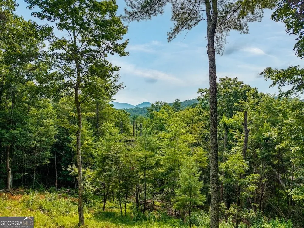 120 Bell Camp Ridge RD Blue Ridge, GA 30513