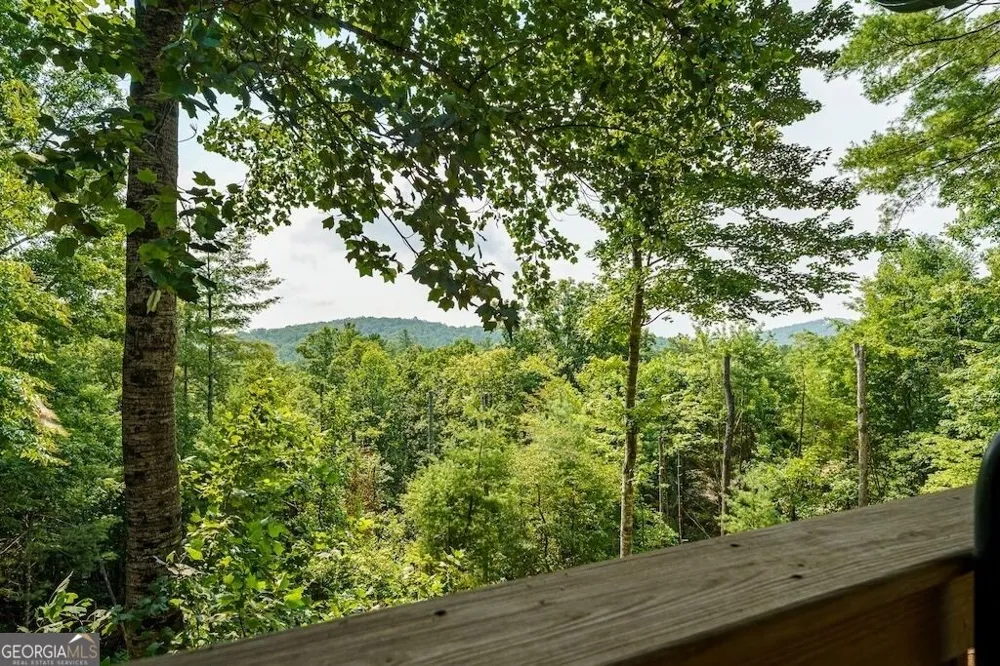 120 Bell Camp Ridge RD Blue Ridge, GA 30513