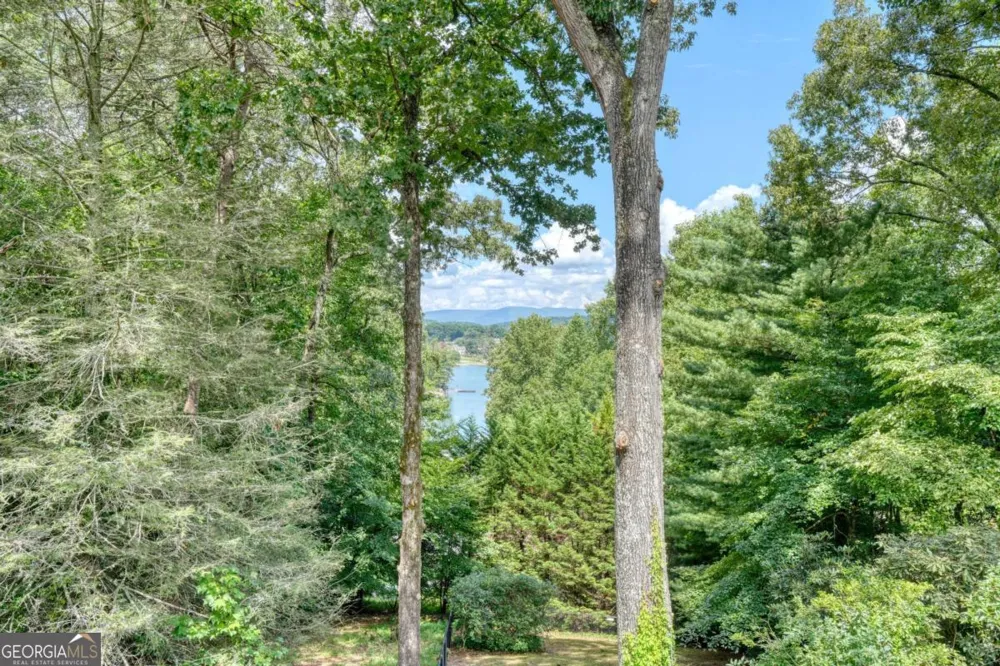 39 Mccracken Cove RD Hayesville, NC 28904