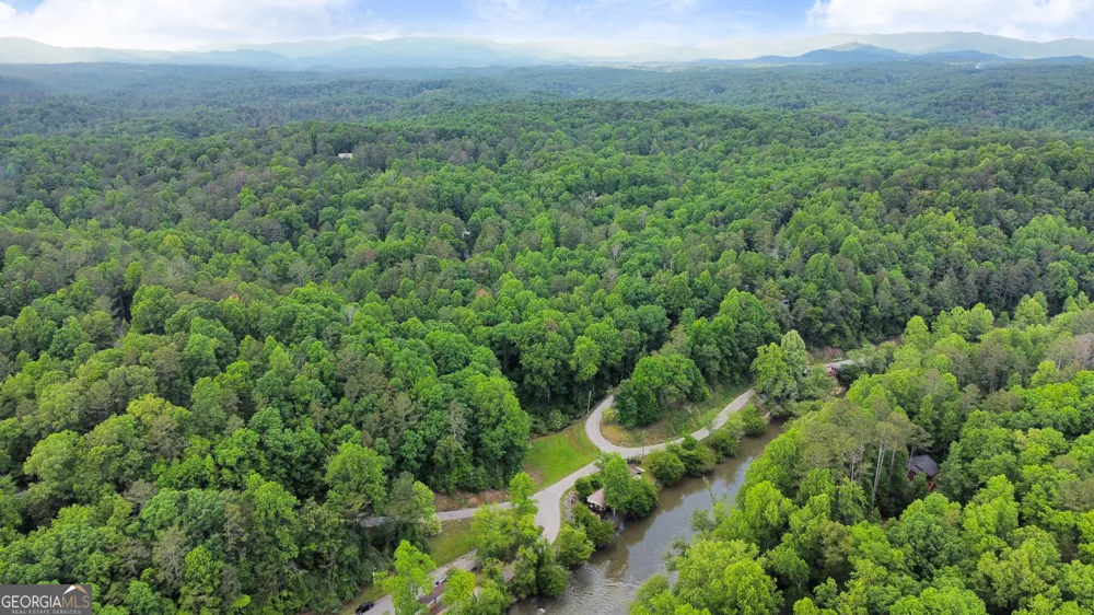 123 Pamela CT Ellijay, GA 30540
