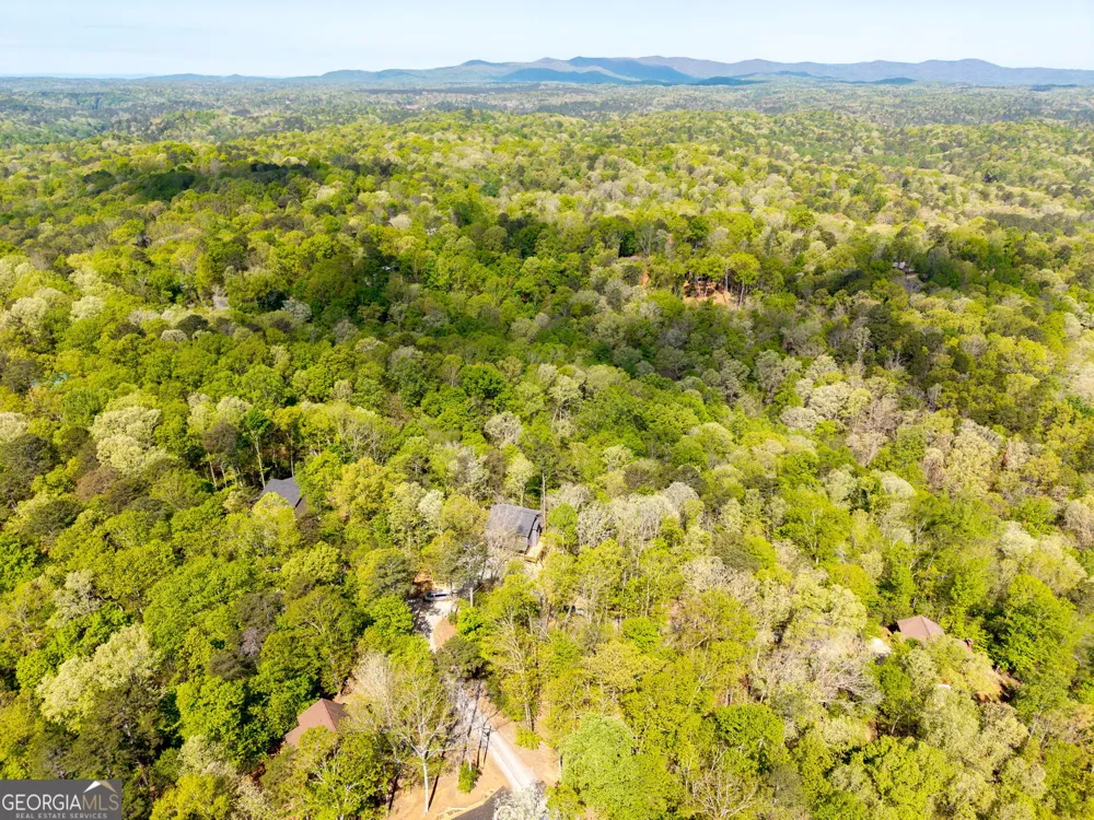 123 Pamela CT Ellijay, GA 30540