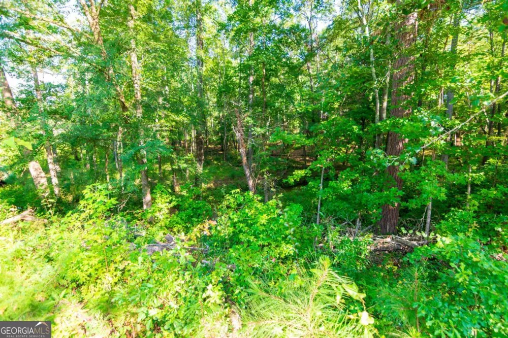 253 Price RD Pine Mountain, GA 31822