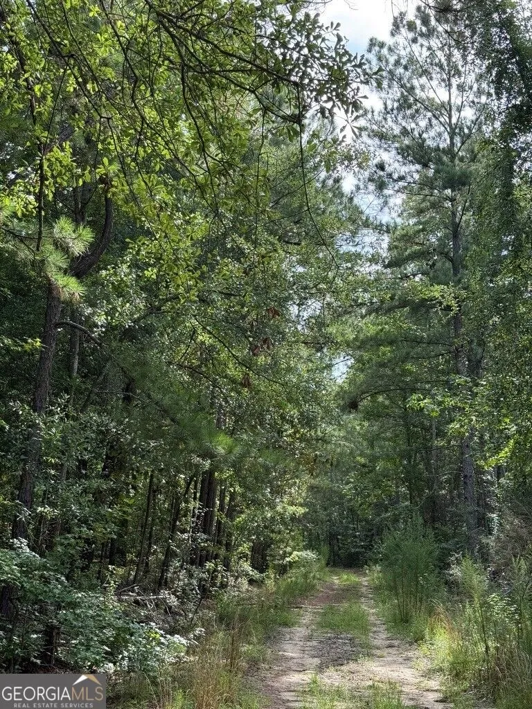 1940 Liberty Church RD Hephzibah, GA 30815