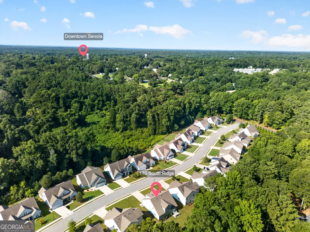 170 South Ridge Senoia, GA 30276