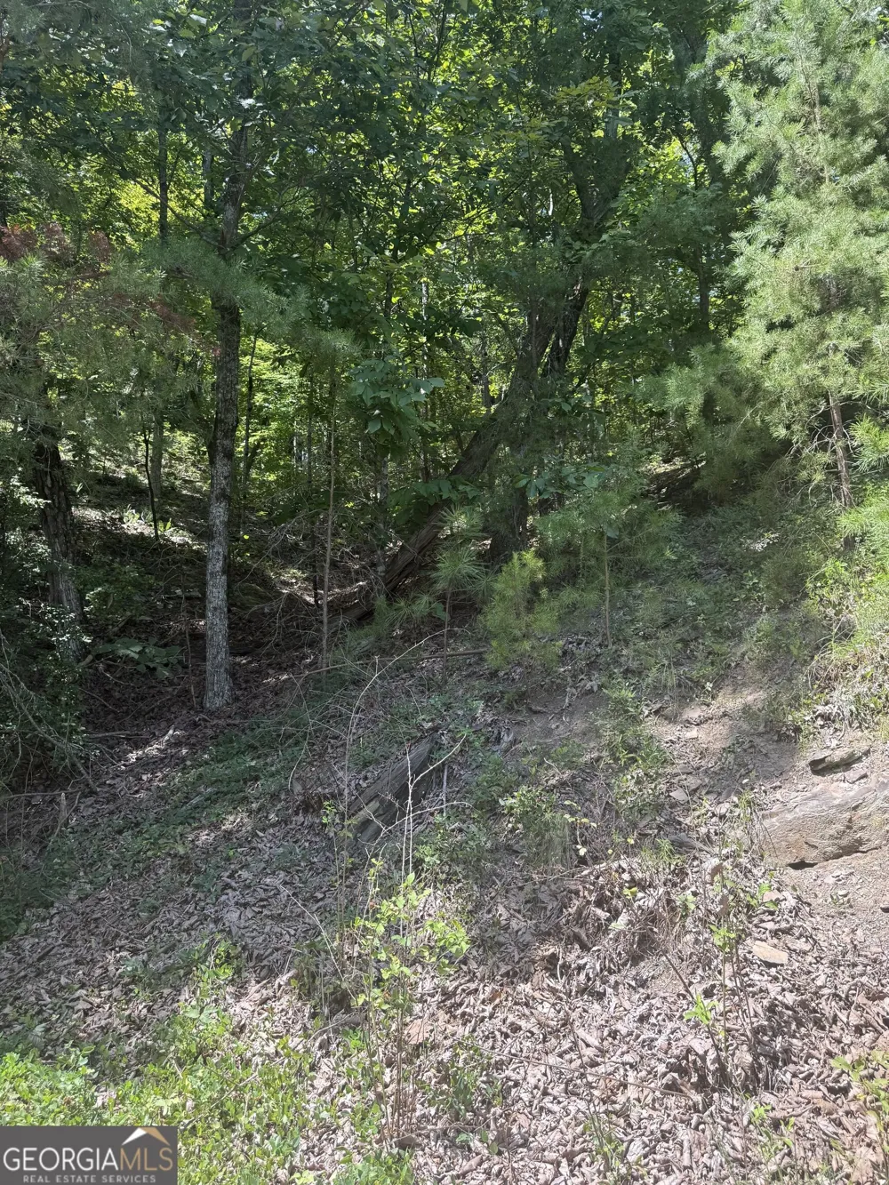 347 Meteor CT NE Ranger, GA 30734