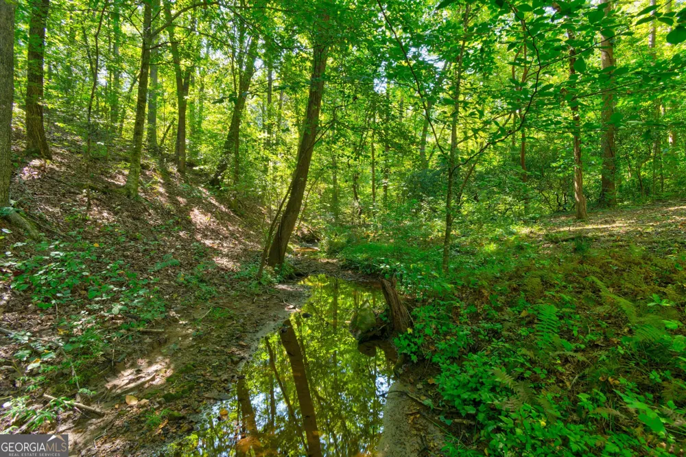 434 Mill Creek DR Dawsonville, GA 30534