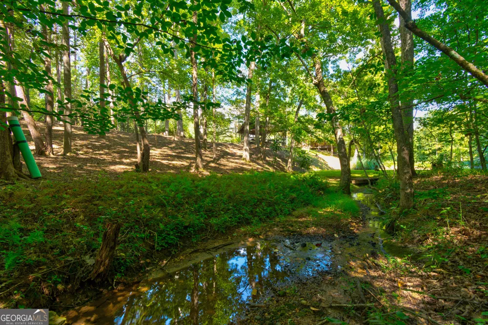 434 Mill Creek DR Dawsonville, GA 30534