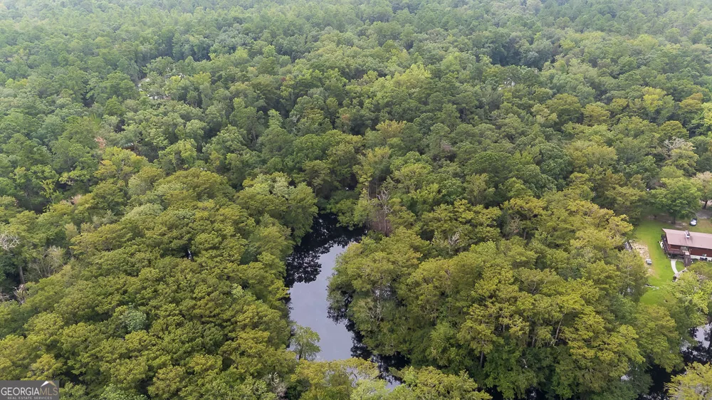 131 High Bluff RD Rincon, GA 31326