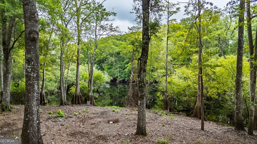 131 High Bluff RD Rincon, GA 31326