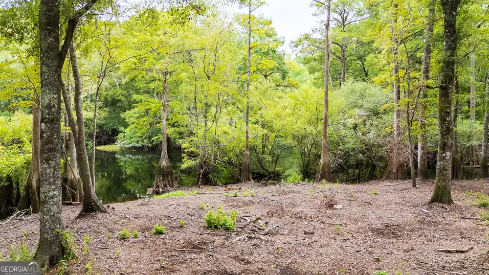 131 High Bluff RD Rincon, GA 31326