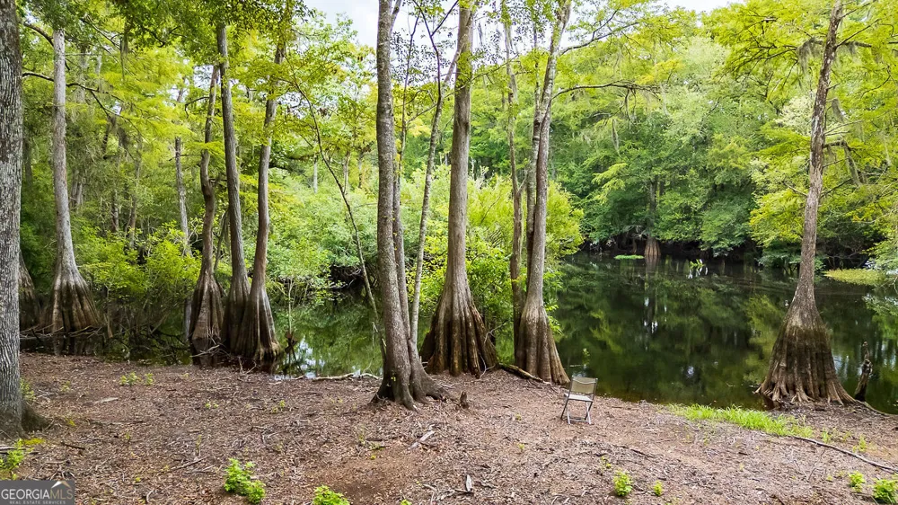 131 High Bluff RD Rincon, GA 31326