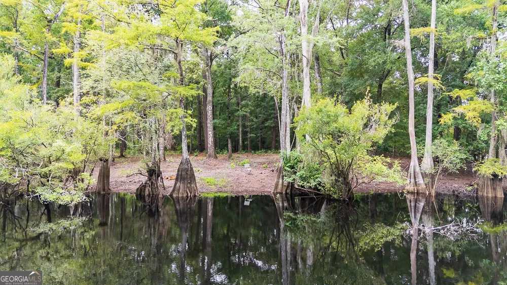 131 High Bluff RD Rincon, GA 31326