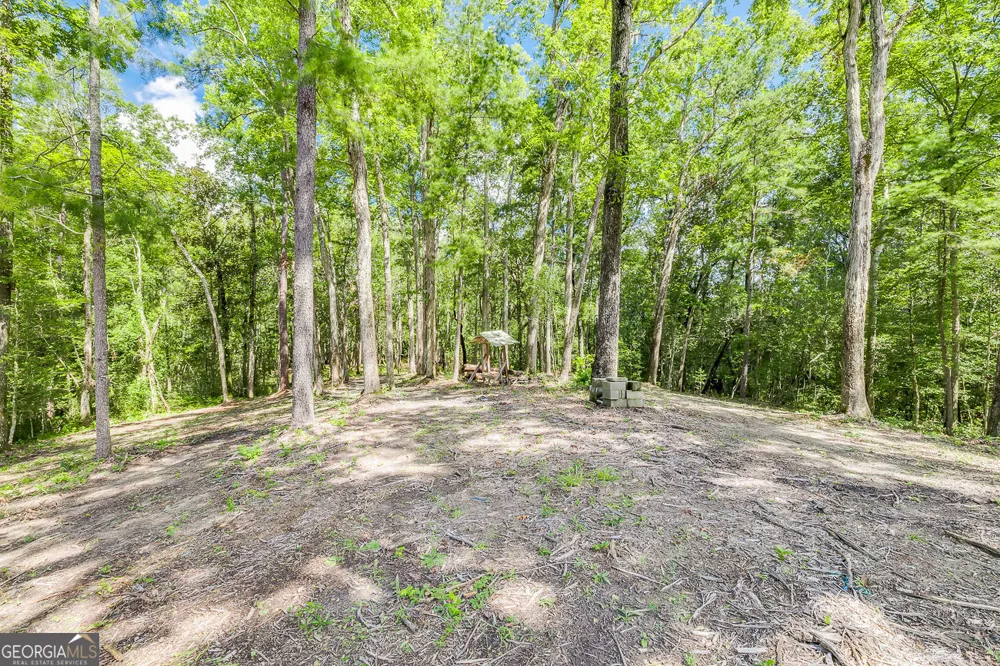 131 High Bluff RD Rincon, GA 31326