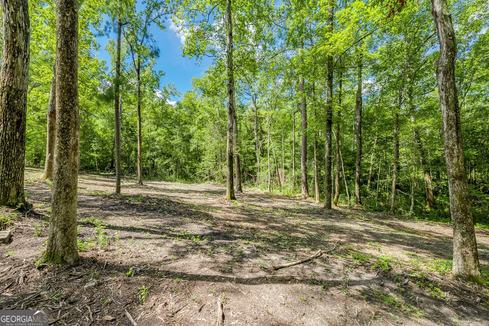 131 High Bluff RD Rincon, GA 31326