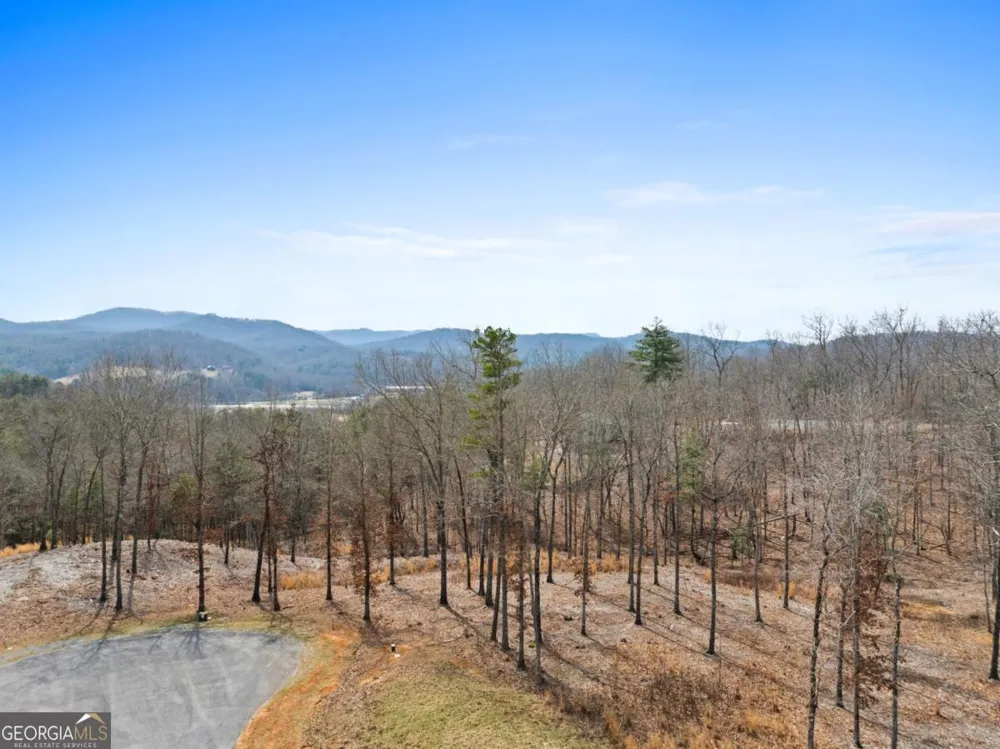 LOT 162 Ridge DR Morganton, GA 30560